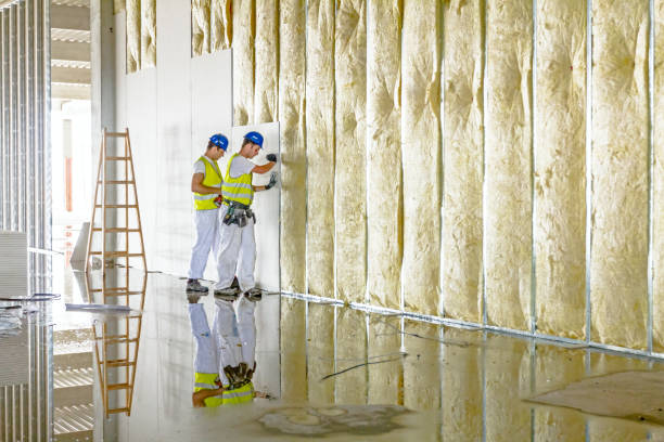 Best Types of Insulation in Teviston, CA